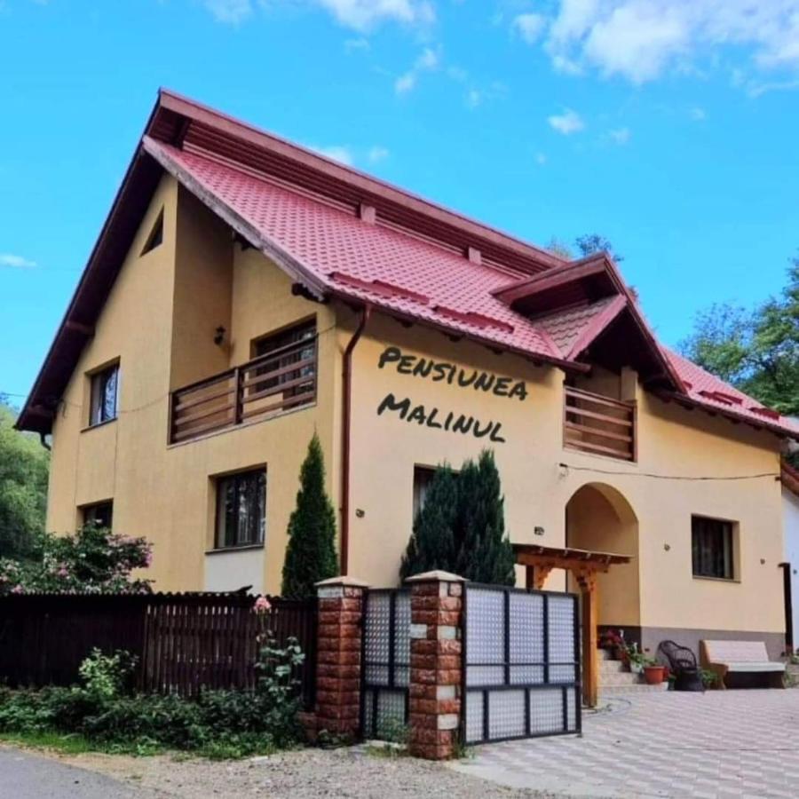 Pensiunea Malinul Bîrsana Exterior foto