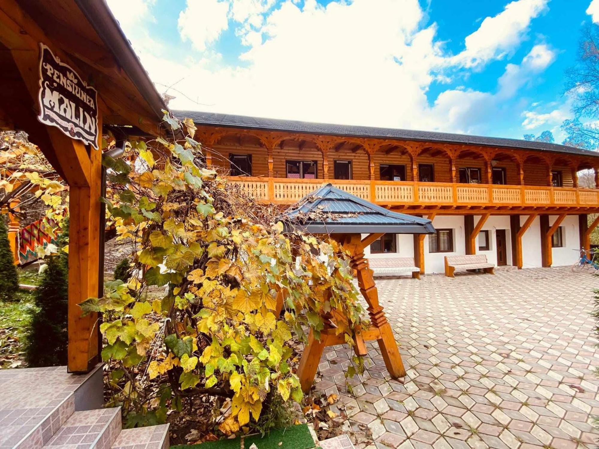 Pensiunea Malinul Bîrsana Exterior foto