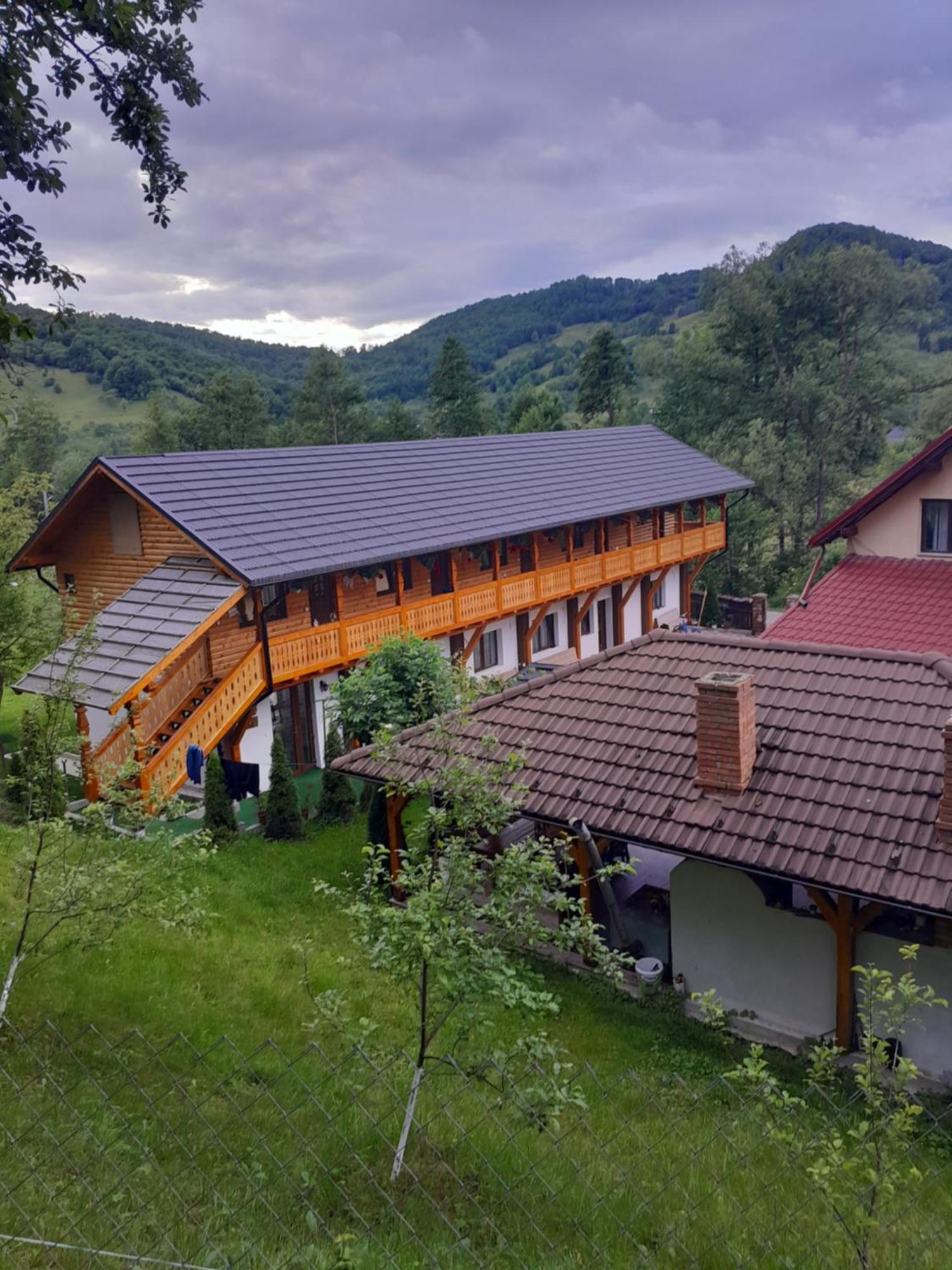 Pensiunea Malinul Bîrsana Exterior foto