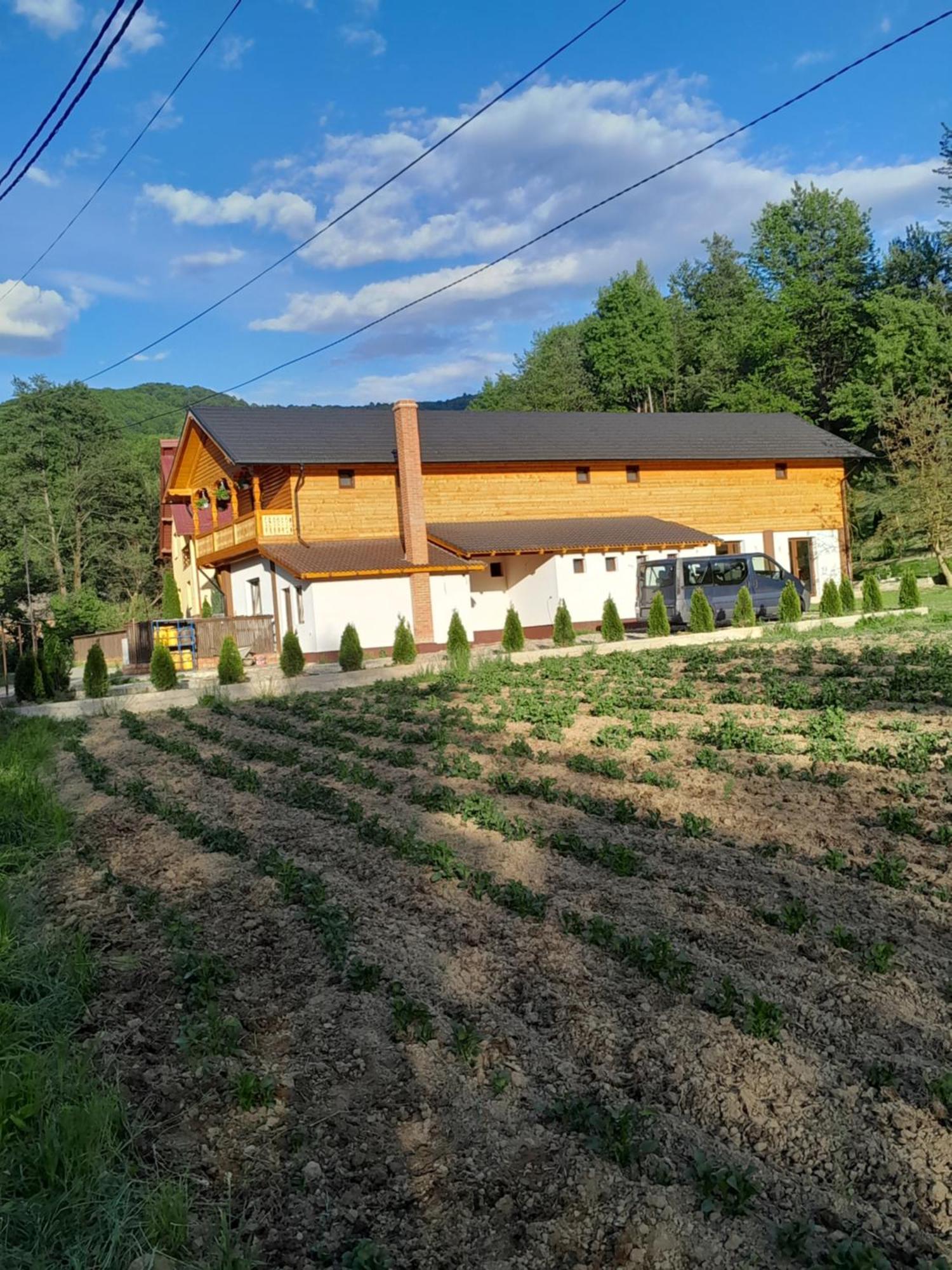 Pensiunea Malinul Bîrsana Exterior foto